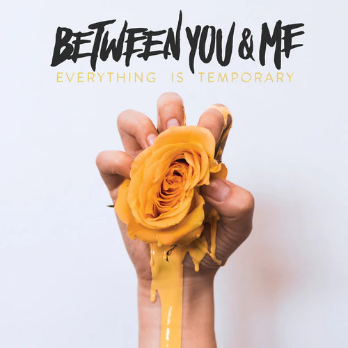 Between You & Me - Everything Is Temporary - Image 2