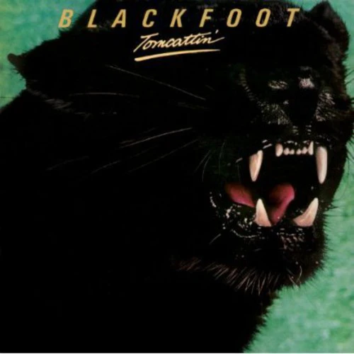 Blackfoot - Tomcattin - Image 2