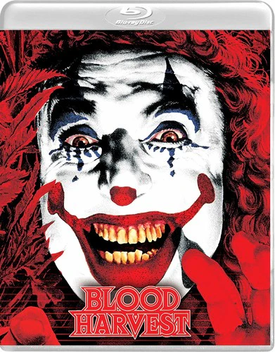Blood