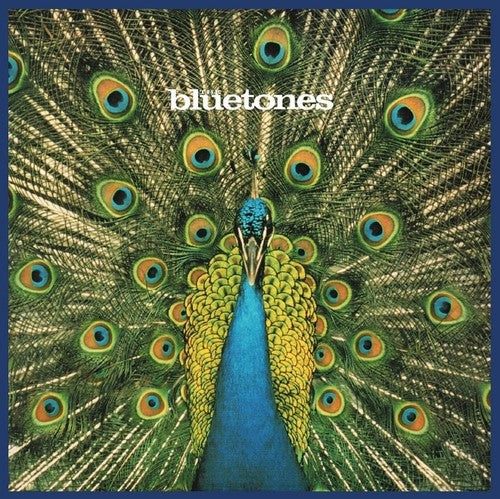 Bluetones - Expecting to Fly - Image 2
