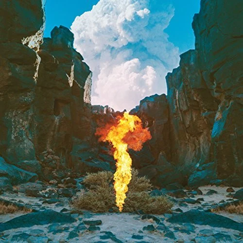 Bonobo - Migration - Image 2