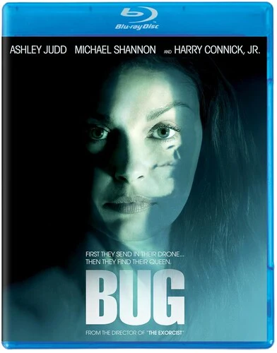 Bug - Image 4