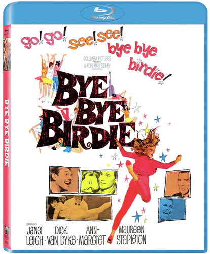 Bye Bye Birdie - Image 2