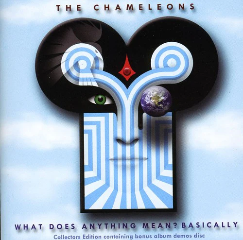 Chameleons - What Does Anything Mean? Basically