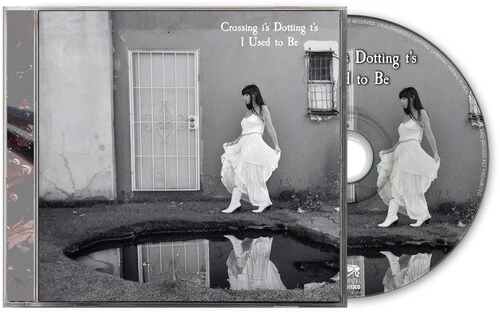 Crossing I's Dotting T's - I Used To Be