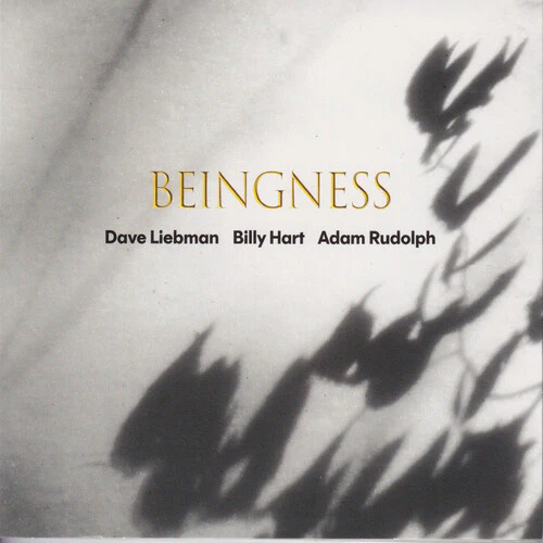 Dave Leibman / Billy Hart / Adam Rudolph - Beingness