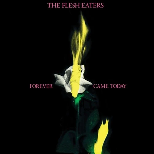 Flesh Eaters - Forever Came Today - Image 2