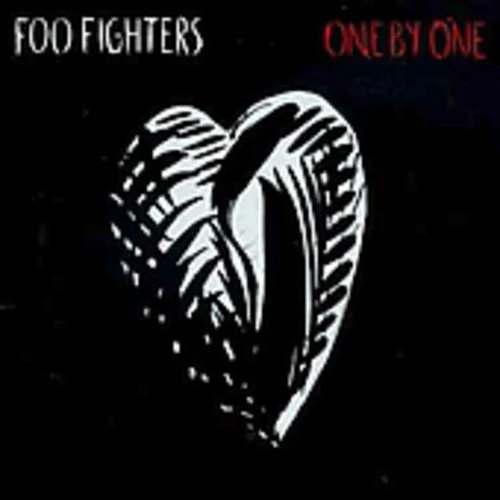 Foo Fighters - One By One - Image 3
