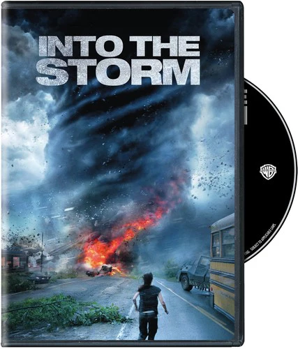 Into the Storm - Image 2