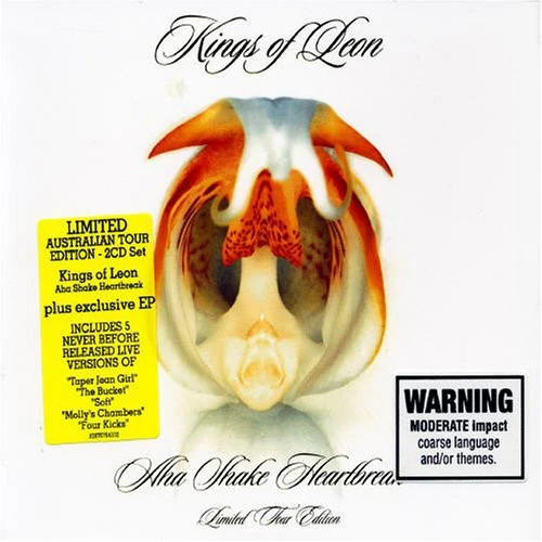Kings of Leon - Aha Shake Heartbreak