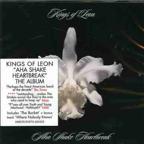 Kings of Leon - Aha Shake Heartbreak - Image 3