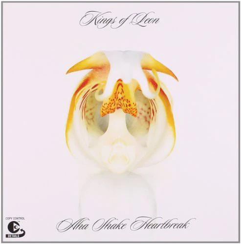 Kings of Leon - Aha Shake Heartbreak - Image 4