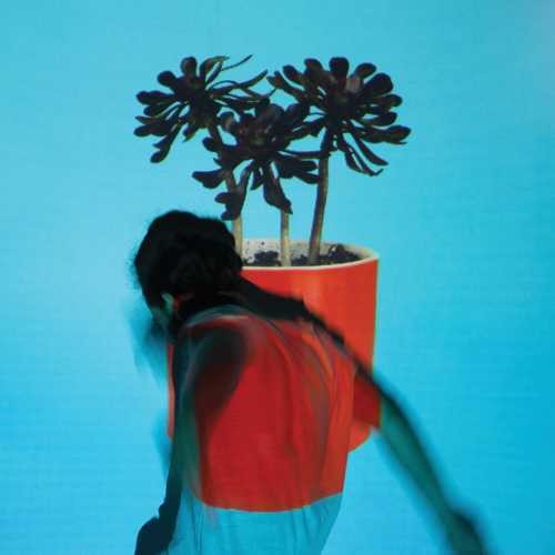 Local Natives - Sunlit Youth - Image 2