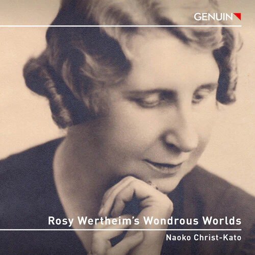 Naoko Christ-Kato - Rosy Wertheim’s Wondrous Worlds