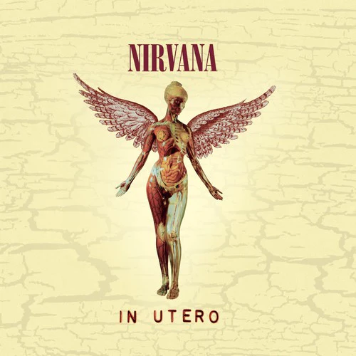 Nirvana - In Utero - Image 3