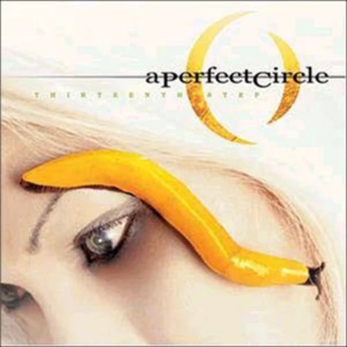 Perfect Circle - Thirteenth Step - Image 2