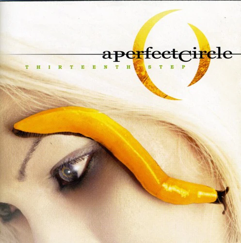 Perfect Circle - Thirteenth Step - Image 3