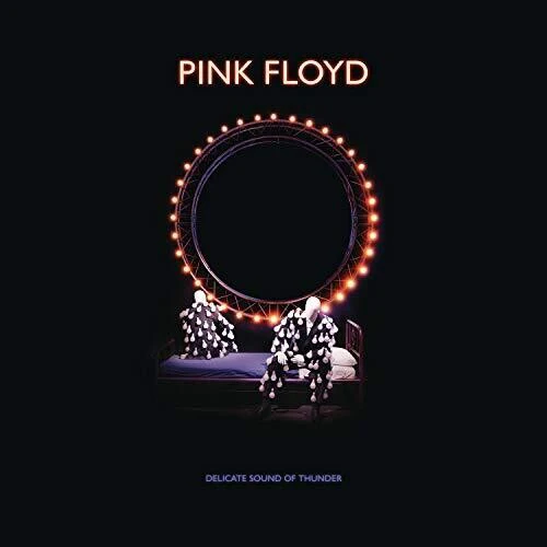 Pink Floyd - Delicate Sound Of Thunder Deluxe Box Set