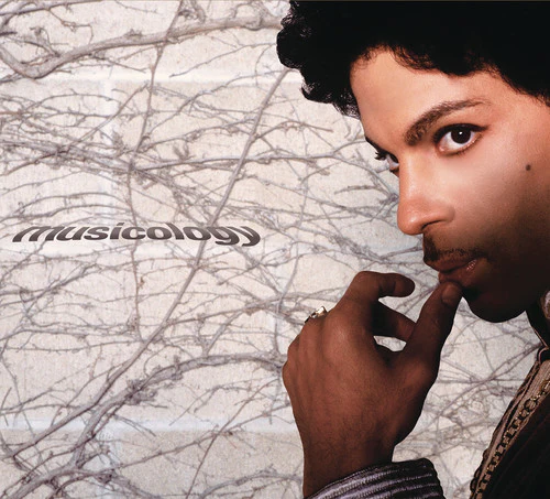 Prince - Musicology - Image 2