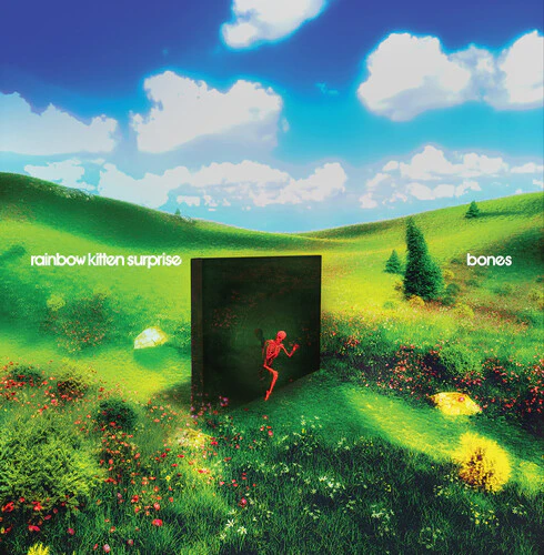 Rainbow Kitten Surprise - bones