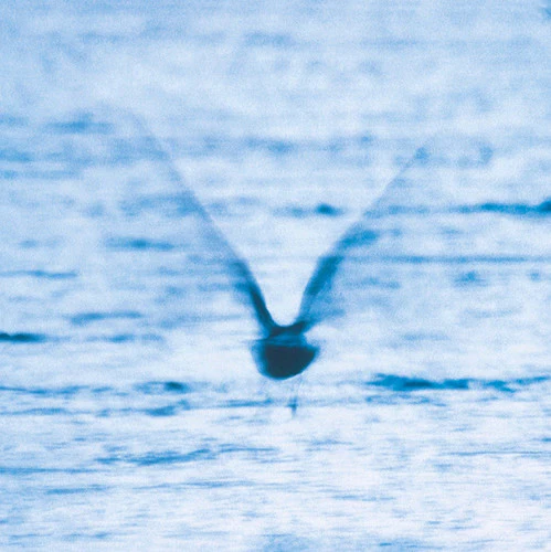 Ryo Fukui - Mellow Dream - Image 2