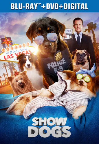 Show Dogs - Image 2