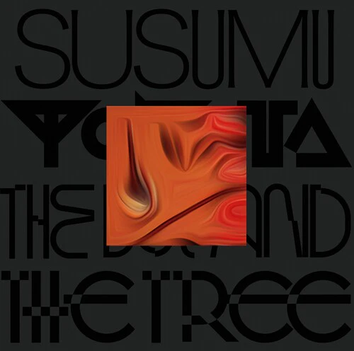 Susumu Yokota - The Boy And The Tree - Skintone
