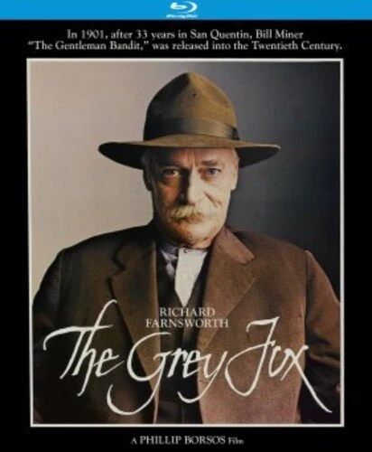 The Grey Fox - Image 2
