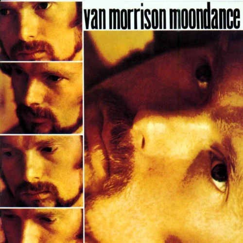 Van Morrison - Moondance - Image 3