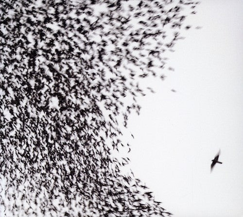 Wilco - Sky Blue Sky - Image 2