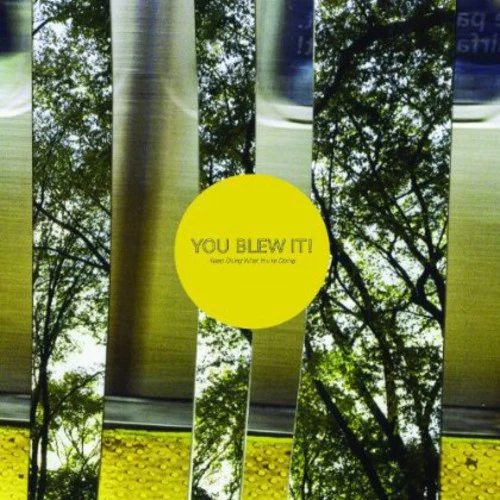 You Blew It - Keep Doing What You're Doing - Image 2